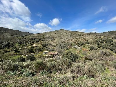 Quinta T3 à venda em Argozelo, Vimioso
