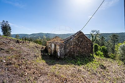 Moradia à venda em Codeçoso, Celorico de Basto