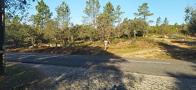 Terreno à venda em Pelmá, Alvaiázere