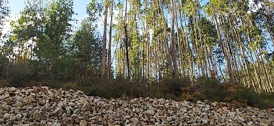 Terreno à venda em Alvaiázere, Alvaiázere