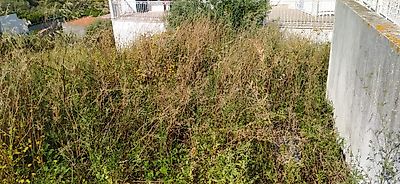 Terreno à venda em Chancelaria, Torres Novas