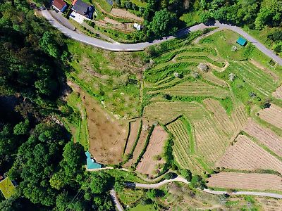 Quinta à venda em Ponte da Barca, Vila Nova de Muía e Paço Vedro de Magalhães, Ponte da Barca