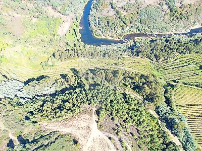 Terreno à venda em Britelo, Gémeos e Ourilhe, Celorico de Basto