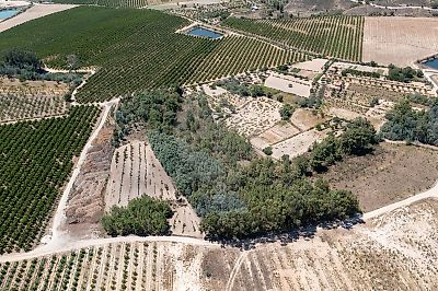 Terreno à venda em Póvoa de Atalaia e Atalaia do Campo, Fundão