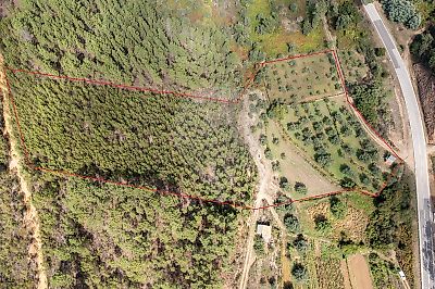 Terreno à venda em Barroca, Fundão