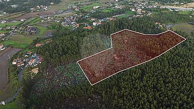 Terreno à venda em Arnoso (Santa Maria e Santa Eulália) e Sezures, Vila Nova de Famalicão
