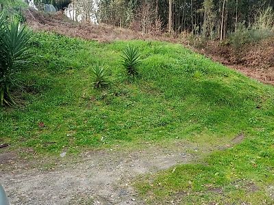 Terreno à venda em Macieira de Cambra, Vale de Cambra