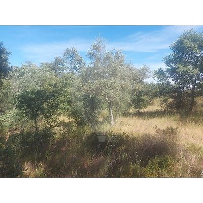 Terreno à venda em Pedrógão de São Pedro e Bemposta, Penamacor