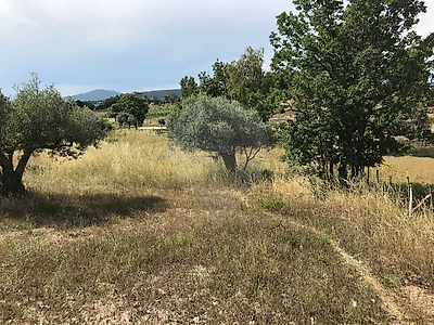 Terreno à venda em Penamacor, Penamacor