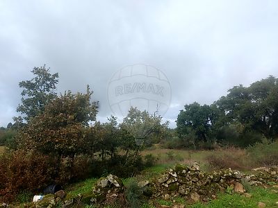Terreno à venda em Aldeia do Bispo, Águas e Aldeia de João Pires, Penamacor