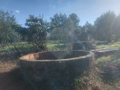 Terreno à venda em Pedrógão de São Pedro e Bemposta, Penamacor