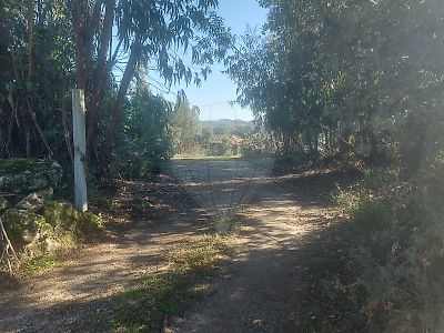 Terreno à venda em Pedrógão de São Pedro e Bemposta, Penamacor