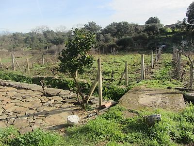 Terreno à venda em Pedrógão de São Pedro e Bemposta, Penamacor