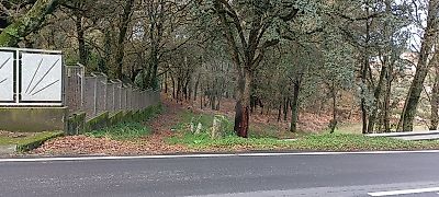 Terreno à venda em Carreira e Refojos de Riba de Ave, Santo Tirso