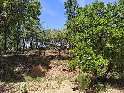 Terreno à venda em Santiago da Guarda, Ansião