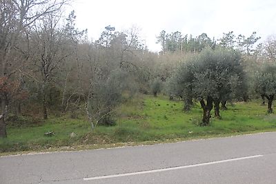 Terreno à venda em Ansião, Ansião