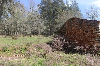 Terreno à venda em São Miguel, Santa Eufémia e Rabaçal, Penela
