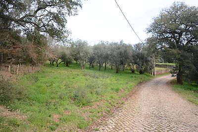 Terreno à venda em Maçãs de Dona Maria, Alvaiázere