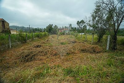 Terreno à venda em Albergaria-a-Velha