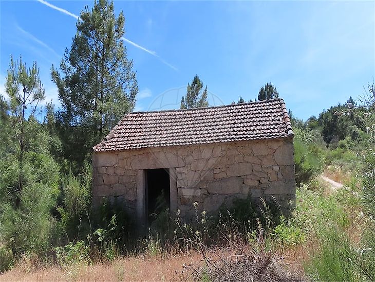 Quinta à venda em Aldeia do Bispo, Águas e Aldeia de João Pires