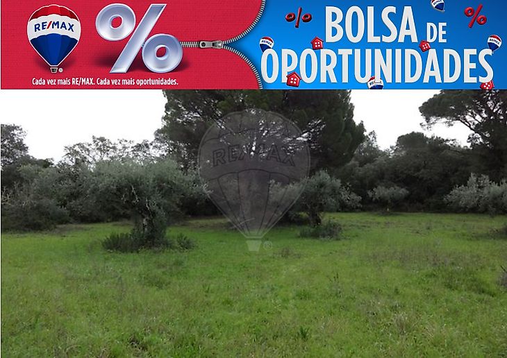 Terreno à venda em Monsanto, Alcanena RE/MAX