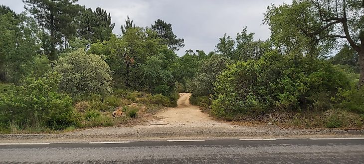 Terreno à venda em Assentiz, Torres Novas RE/MAX