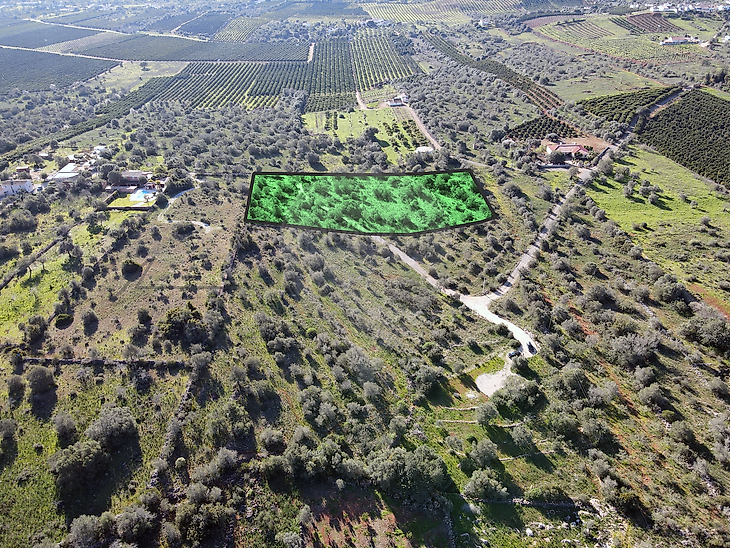 Land for sale in São Bartolomeu de Messines, Silves RE/MAX