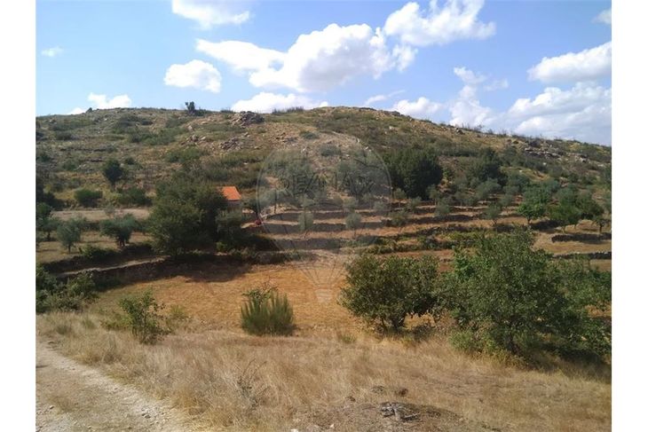 Quinta T0 à venda em Cortiçô da Serra, Vide Entre Vinhas e Salgueirais