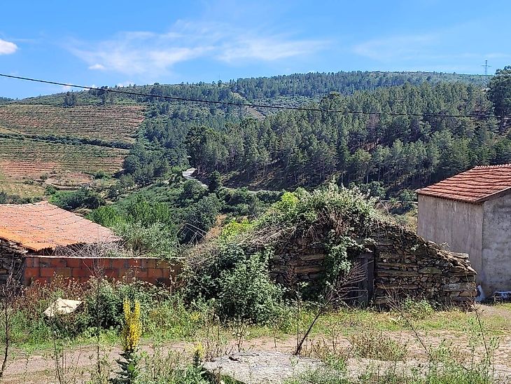Outros Habitação à venda em Felgueiras e Maçores, Torre de Moncorvo