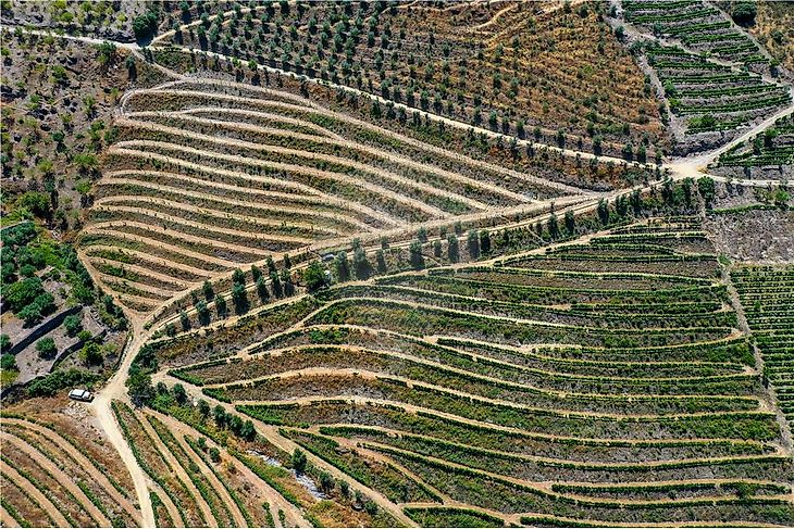 Quinta T0 à venda em Vilarouco e Pereiros, São João da Pesqueira RE/MAX