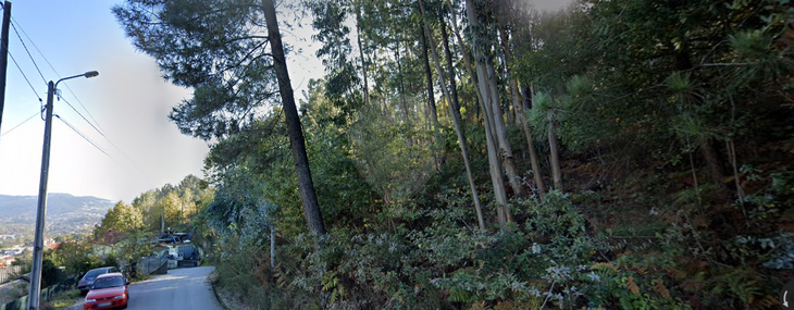 123061290-261