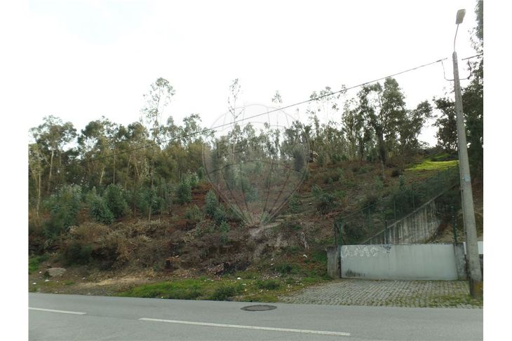 Terreno em Sequeira, Braga