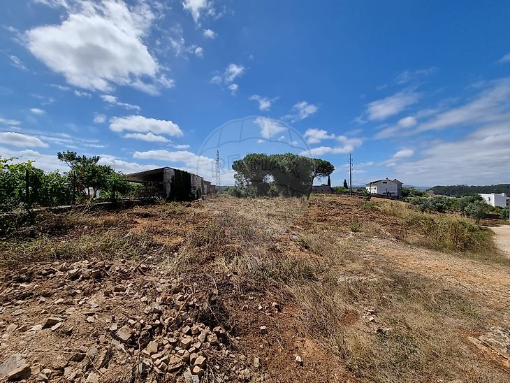 Terreno Venda Em Assafarge E Antanhol Coimbra Re Max