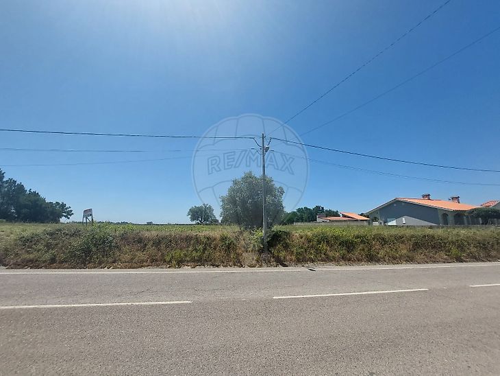 Terreno à venda em Cantanhede e Pocariça, Cantanhede RE/MAX