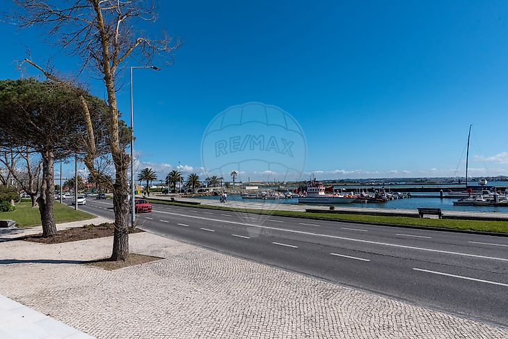 Na Figueira da Foz, há um grupo que quer fazer da rua um espaço melhor, Mobilidade Urbana