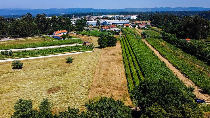 Terreno