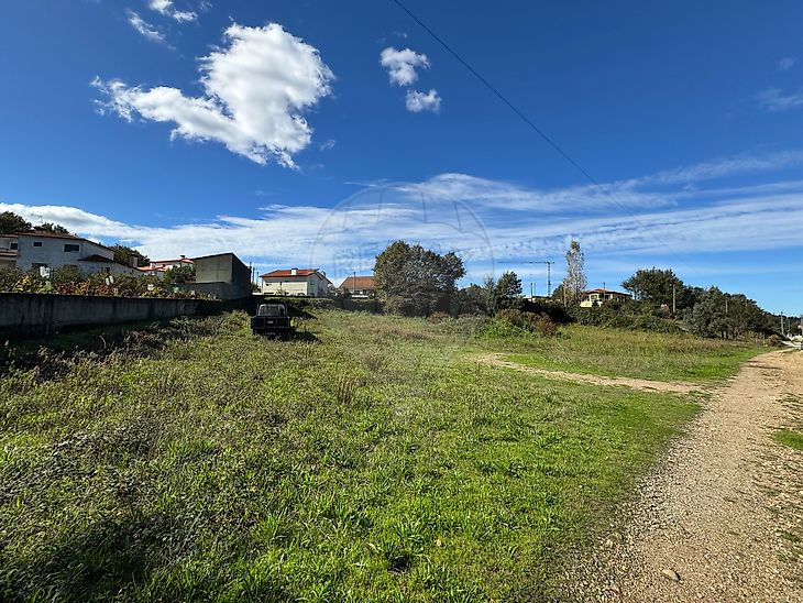 Terreno