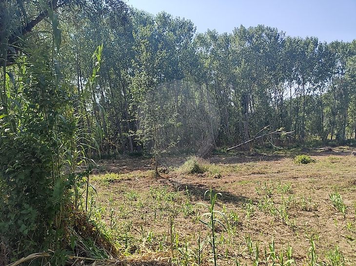 Terreno