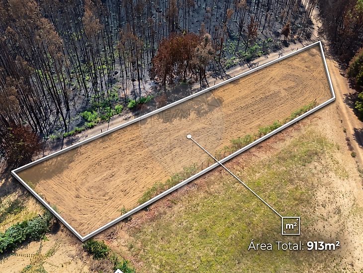 Terreno