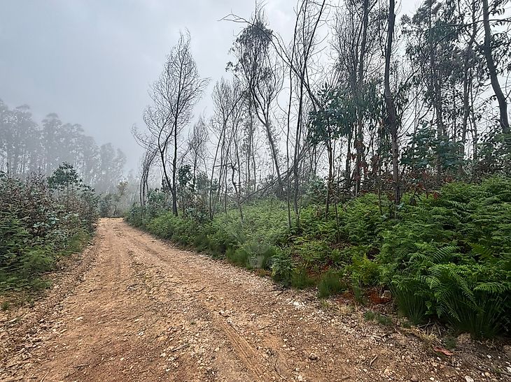 Terreno
