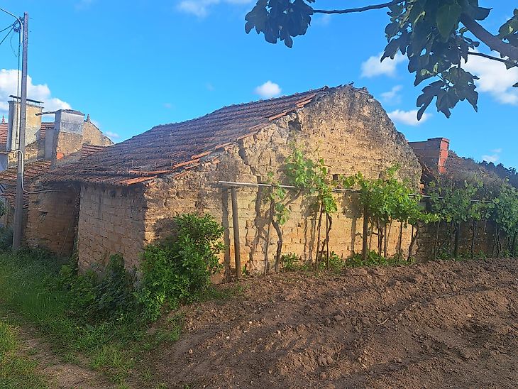Terreno