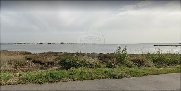 123931139-44