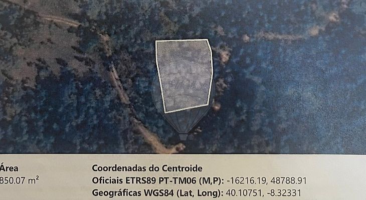 123971111-121
