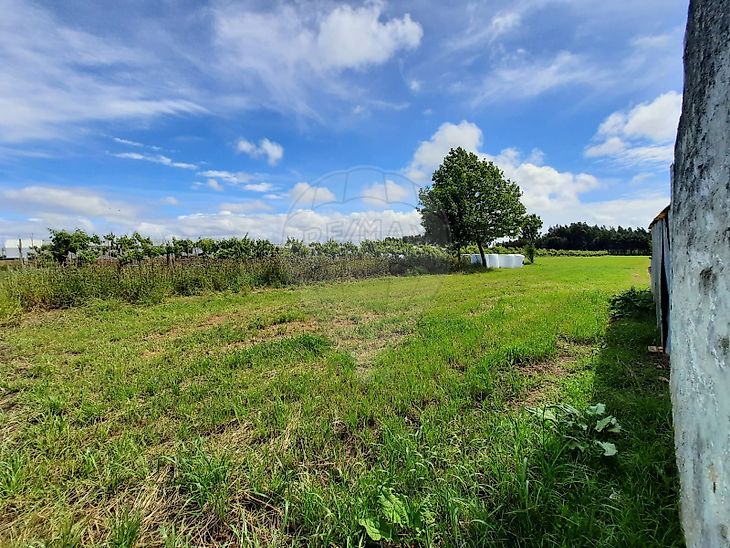 Land for sale in Aradas, Aveiro RE/MAX