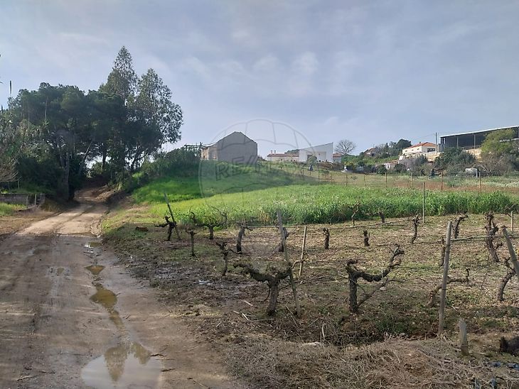 Terreno à venda em Outeiro da Cortiçada e Arruda dos Pisões, Rio Maior