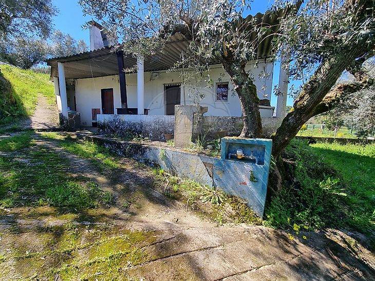 Quinta em Montargil, Ponte de Sor