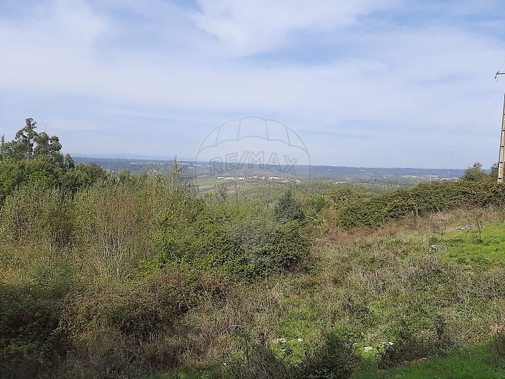 Quinta à venda em Côja e Barril de Alva, Arganil RE/MAX