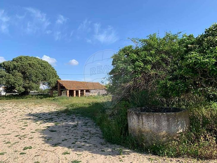 Quinta à venda em Palmela, Palmela RE/MAX