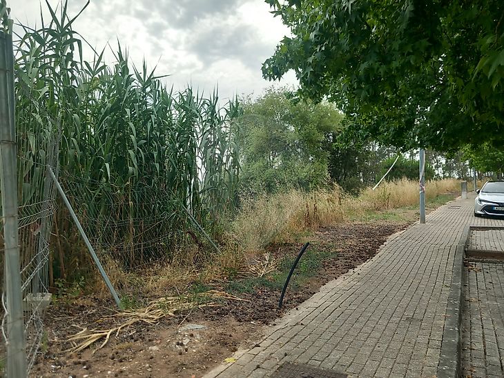 - foto 3