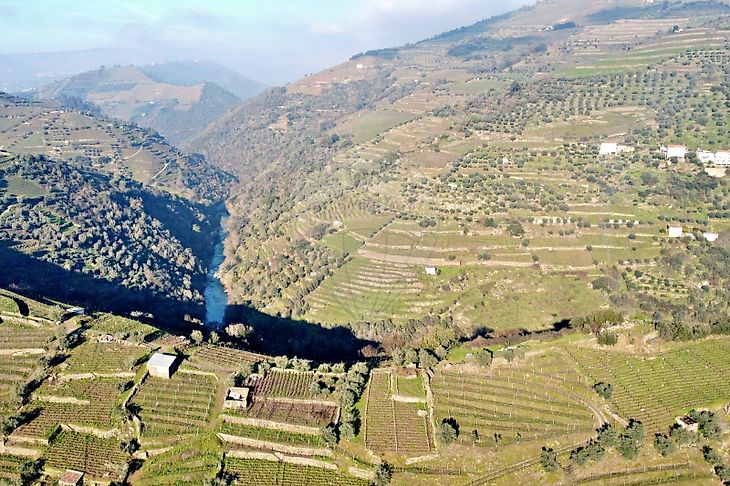 Terreno à venda em Lobrigos (São Miguel e São João Baptista) e Sanhoane